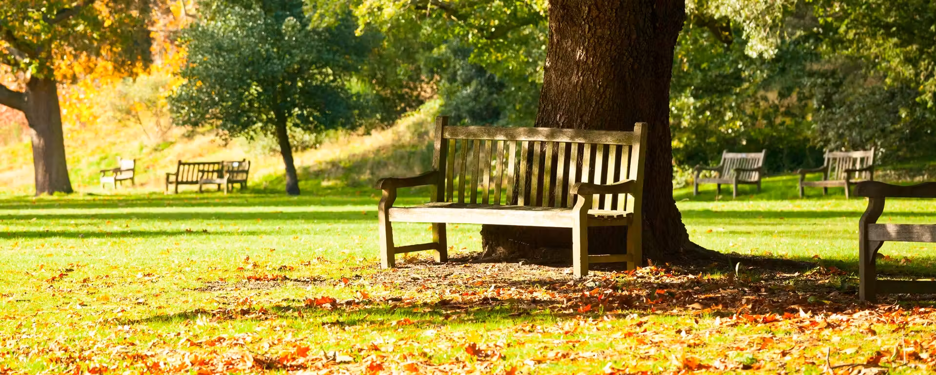 Edmonton ADHD psychologists