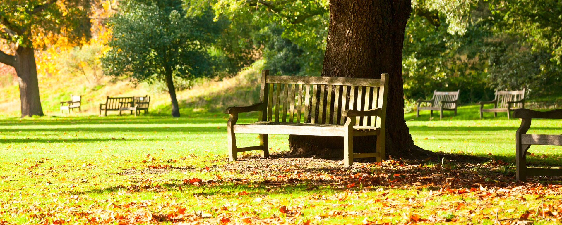 Edmonton ADHD psychologists